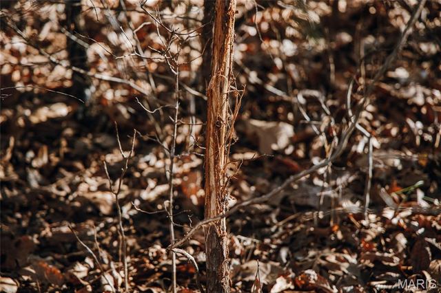 55ac. 29900 Pelican Drive, Lebanon, MO 65536