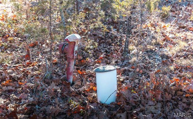 55ac. 29900 Pelican Drive, Lebanon, MO 65536