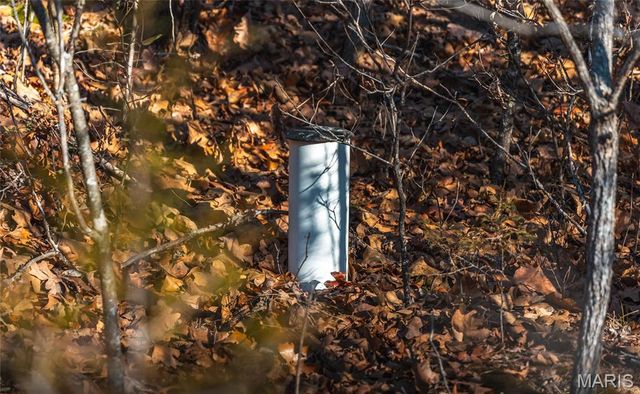 55ac. 29900 Pelican Drive, Lebanon, MO 65536