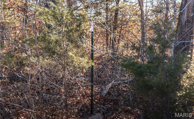 55ac. 29900 Pelican Drive, Lebanon, MO 65536