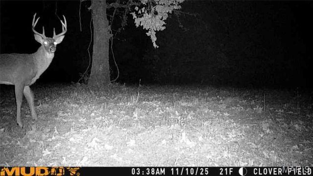 55ac. 29900 Pelican Drive, Lebanon, MO 65536