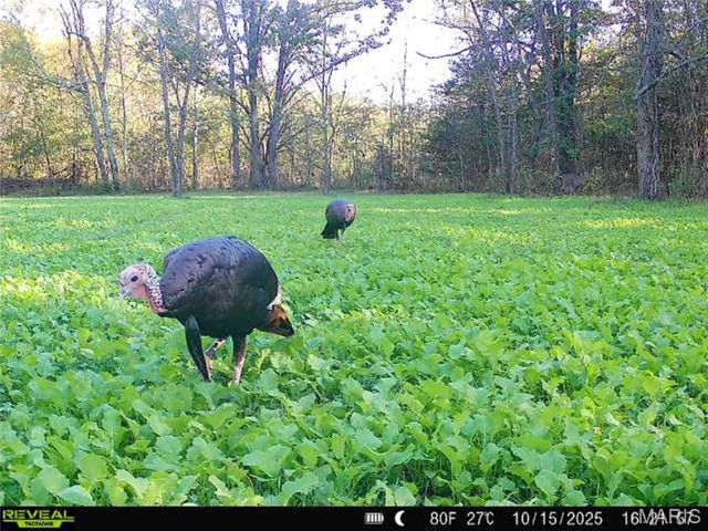 55ac. 29900 Pelican Drive, Lebanon, MO 65536