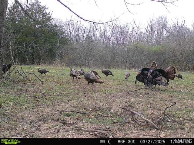 55ac. 29900 Pelican Drive, Lebanon, MO 65536