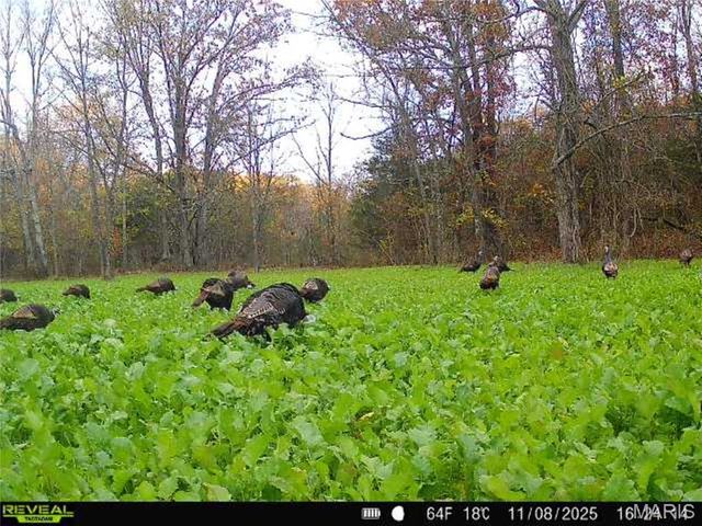 55ac. 29900 Pelican Drive, Lebanon, MO 65536