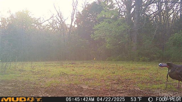 55ac. 29900 Pelican Drive, Lebanon, MO 65536