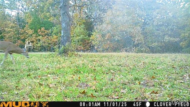 55ac. 29900 Pelican Drive, Lebanon, MO 65536