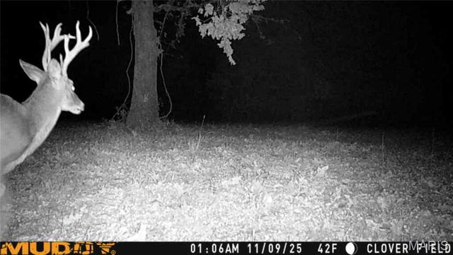 55ac. 29900 Pelican Drive, Lebanon, MO 65536