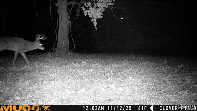 55ac. 29900 Pelican Drive, Lebanon, MO 65536