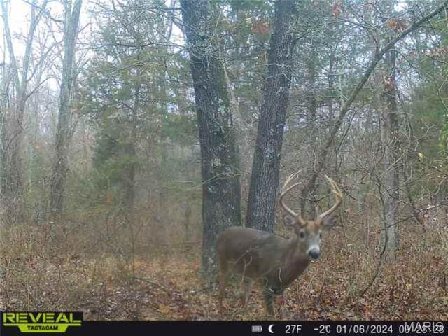 55ac. 29900 Pelican Drive, Lebanon, MO 65536