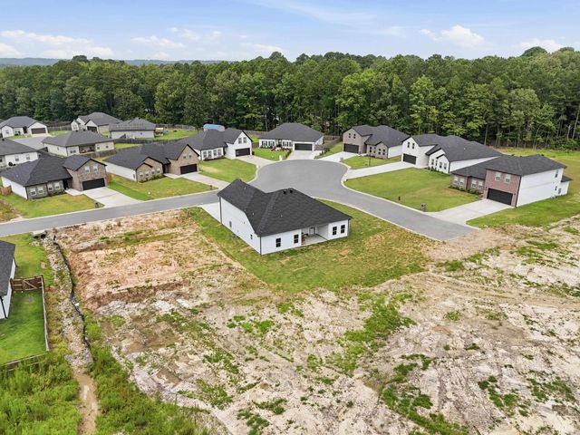 7081 Agua Blanca Boulevard, Shannon Hills, AR 72103