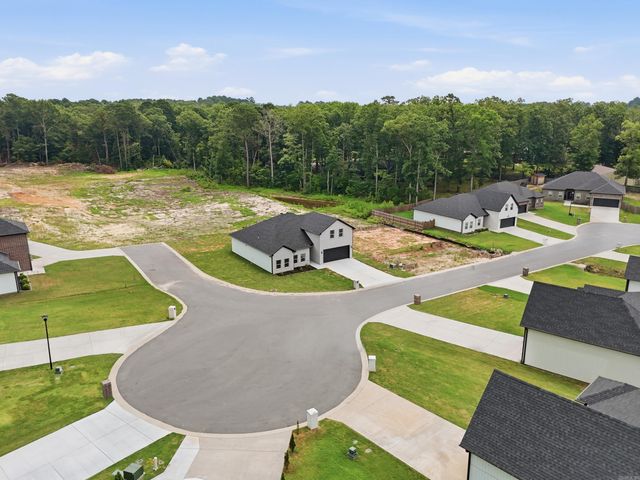 7081 Agua Blanca Boulevard, Shannon Hills, AR 72103