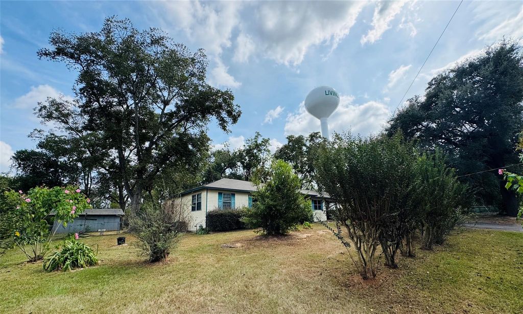 205 Elizabeth Street, Livingston, TX 77351