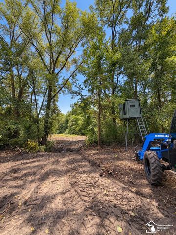 6718 Colf Road, Carleton, MI 48117