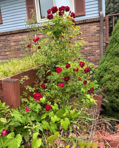 10027 E Grandview Court, Traverse City, MI 49684