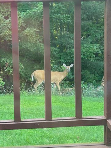 10027 E Grandview Court, Traverse City, MI 49684