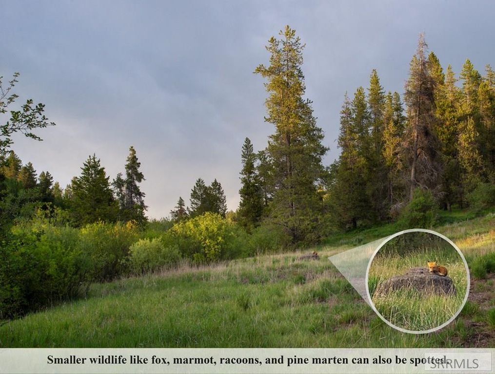 Image 35 of property listing at 4387 E Granite Ridge North, Ashton, ID 83420