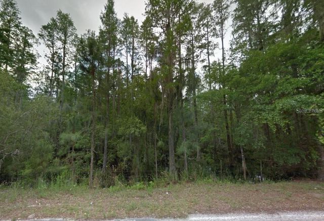 0 POYNER ROAD, Polk City, FL 33868