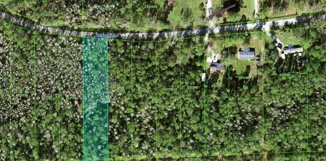 0 POYNER ROAD, Polk City, FL 33868