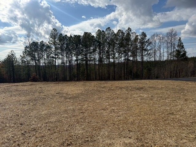 34 Pafford Ln, Erin, TN 37061