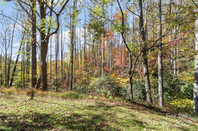 96 Thompson Road, Spruce Pine, NC 28777