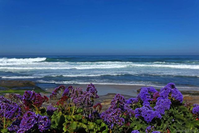 302 Prospect St 6, La Jolla, CA 92037