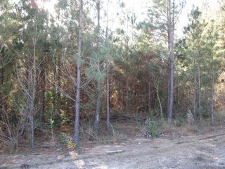 Lot 1 Parkview Estates, Ellisville, MS 39437
