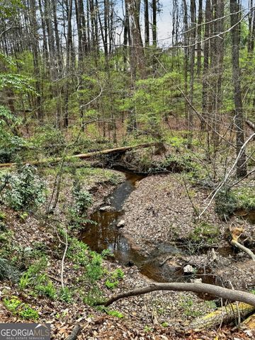 596 Willowgreen Court SE, Conyers, GA 30094