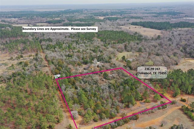 233 Private Road 247, Oakwood, TX 75855
