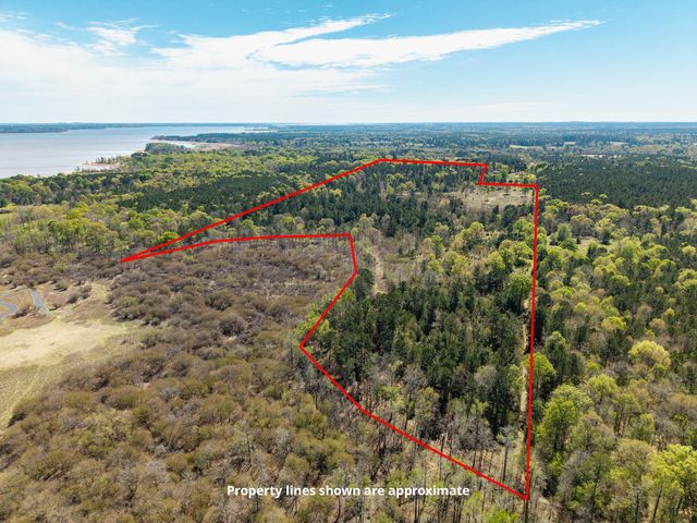 621 Herman Nerren Road, Huntington, TX 75949