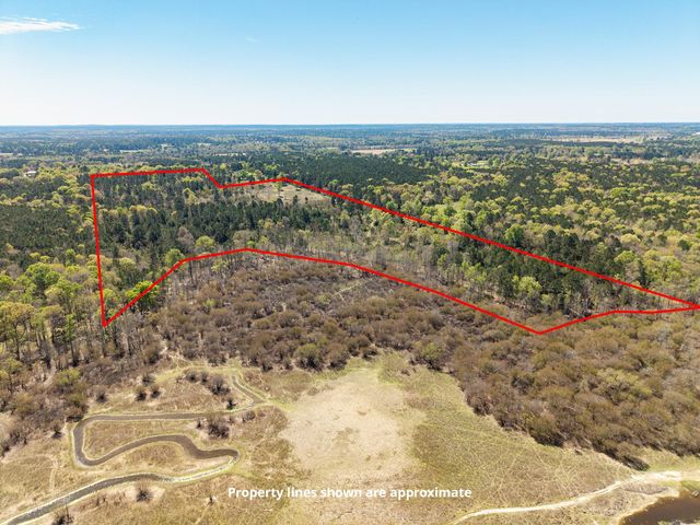 621 Herman Nerren Road, Huntington, TX 75949