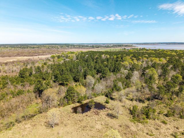 621 Herman Nerren Road, Huntington, TX 75949