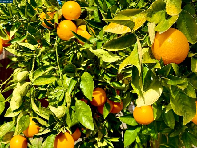 2504 Brocket Court, Antioch, CA 94531