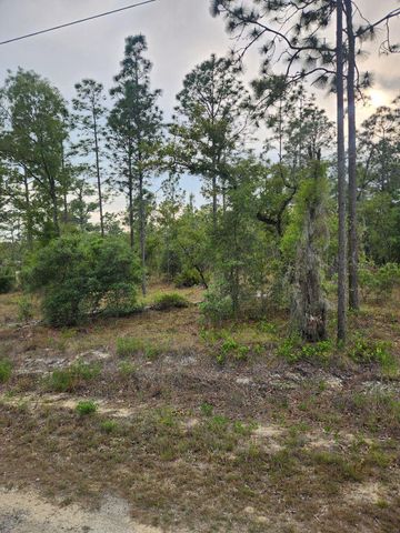 00 SE 130TH CT, Dunnellon, FL 34431