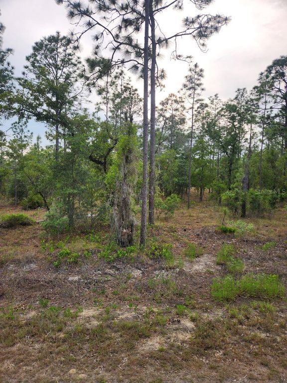 00 SE 130TH CT, Dunnellon, FL 34431