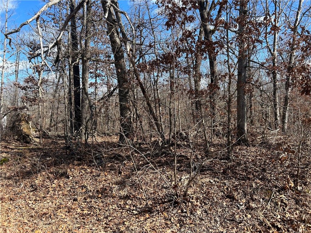 Malone Drive, Bella Vista, AR 72715