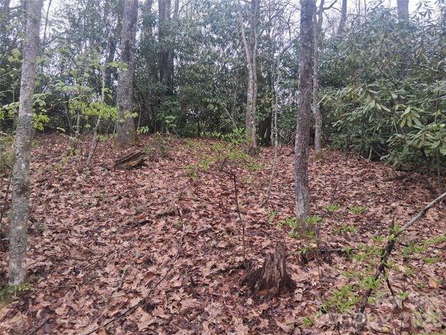 0000 Bear Creek Road, Maggie Valley, NC 28721