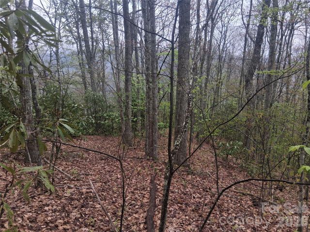 0000 Bear Creek Road, Maggie Valley, NC 28721