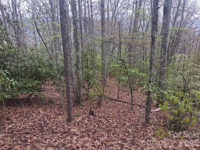 0000 Bear Creek Road, Maggie Valley, NC 28721