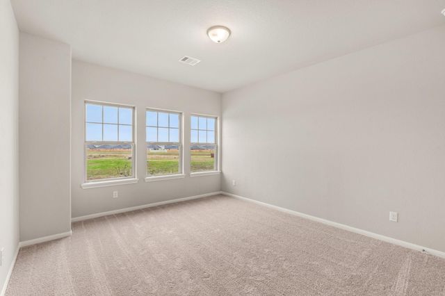 21914 Pecan Buff Drive, Waller, TX 77484