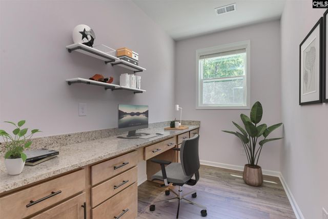 623 Griffon Drive, Chapin, SC 29036