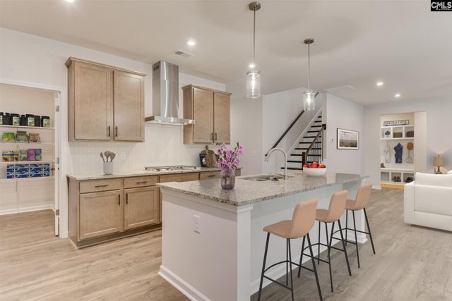 623 Griffon Drive, Chapin, SC 29036