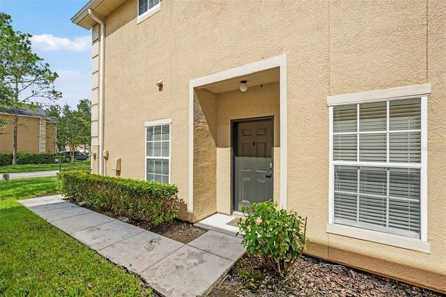 6265 ASHBURY PALMS DRIVE, Tampa, FL 33647