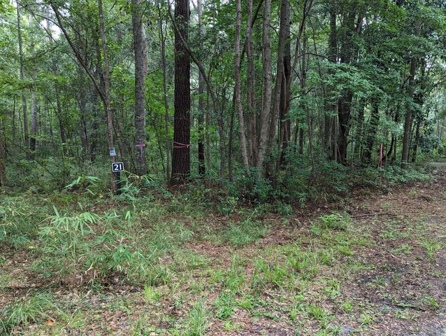 21 Middleton Oaks Road, Charleston, SC 29414