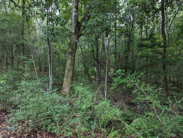 21 Middleton Oaks Road, Charleston, SC 29414