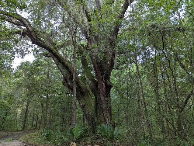 21 Middleton Oaks Road, Charleston, SC 29414