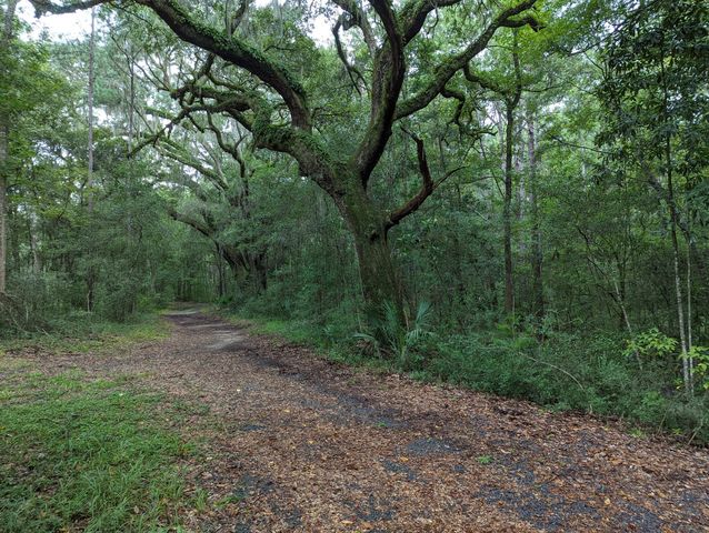 21 Middleton Oaks Road, Charleston, SC 29414