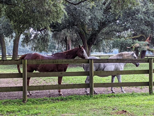 21 Middleton Oaks Road, Charleston, SC 29414