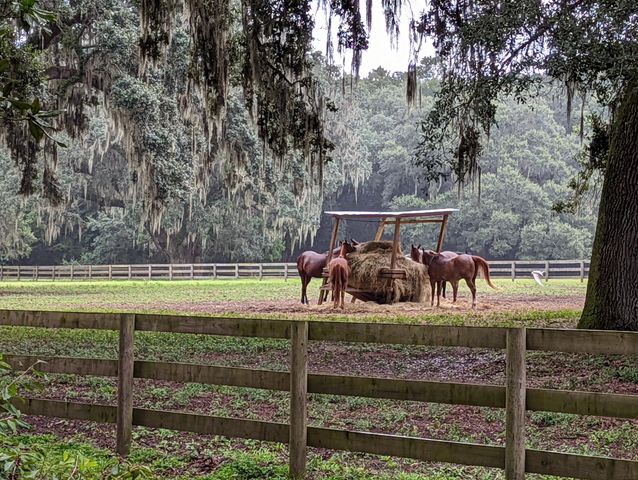 21 Middleton Oaks Road, Charleston, SC 29414