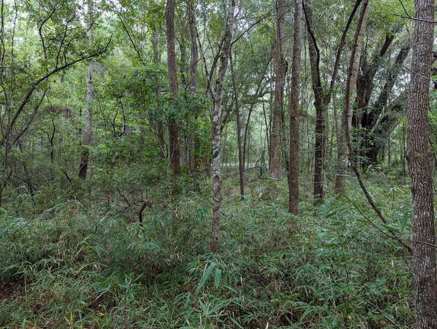 21 Middleton Oaks Road, Charleston, SC 29414