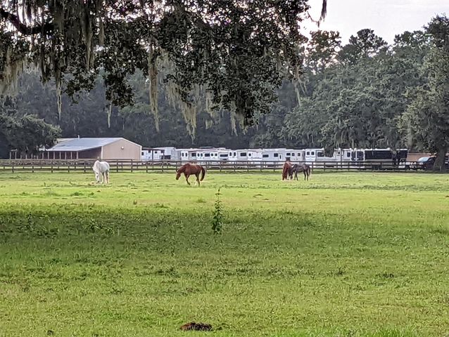 21 Middleton Oaks Road, Charleston, SC 29414